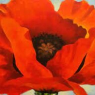 Georgia O'Keefe flowers