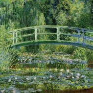Monet's water lillies